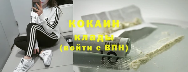 тгк Богданович