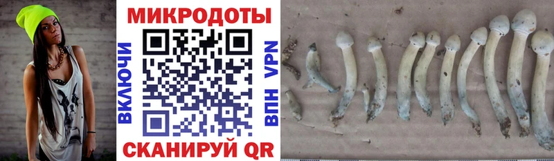 omg ONION  даркнет сайт  Вичуга  Псилоцибиновые грибы Cubensis 